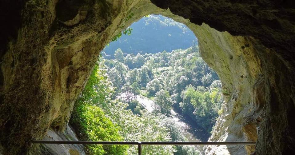 L'Echappee Au Jardin, Yourte Bucolique Godinne Buitenkant foto